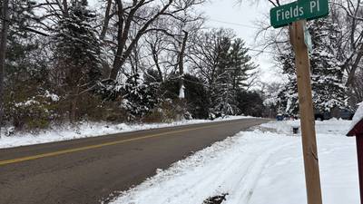 Ottawa advances more Fields Hill annexations