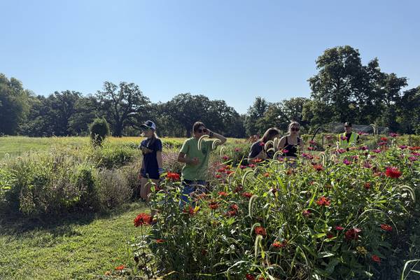 Dixon farm sanctuary visit brings ag lessons to life for Sterling students