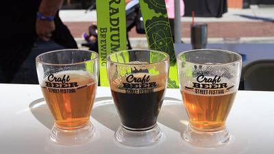 Sip into Summer: Must-visit beer & wine festivals in northern Illinois 