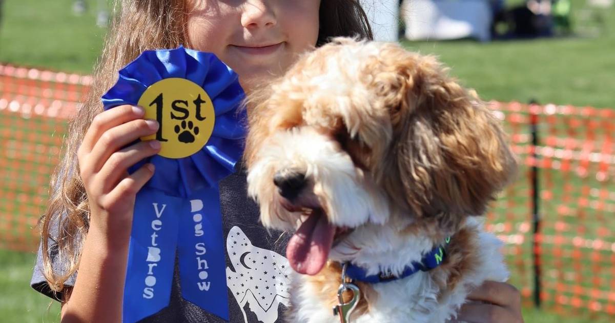 Join annual VetBros Charity Dog Show on Aug. 4 – Shaw Local