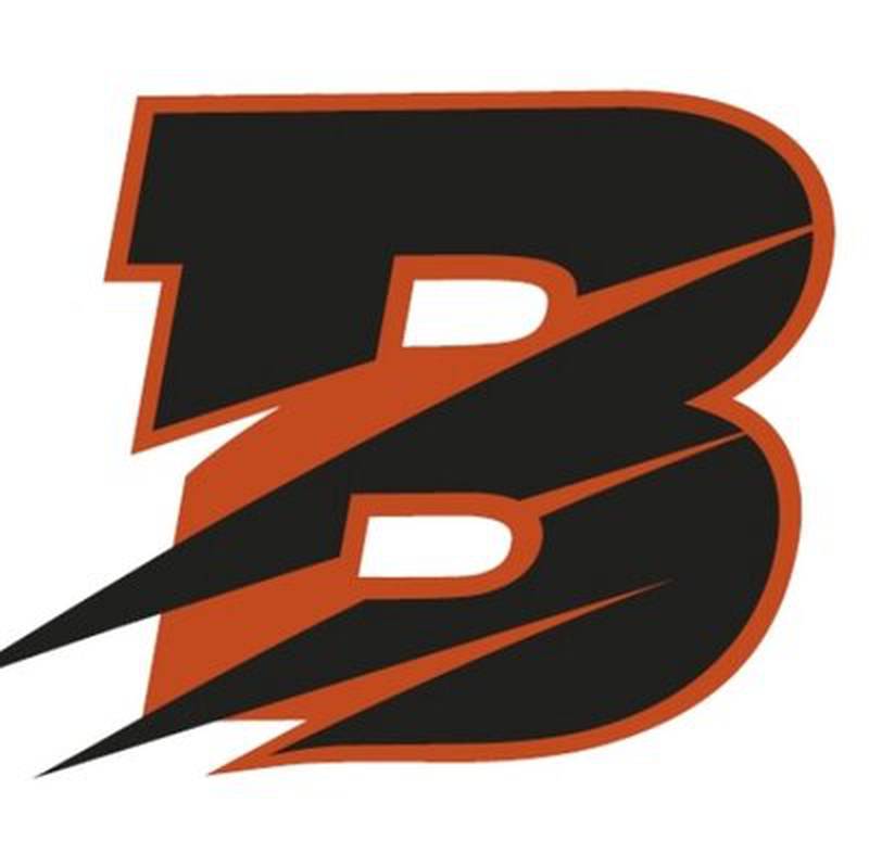 Byron Tigers logo
