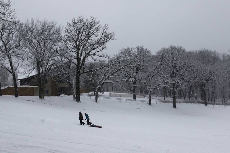 Sledders walk back up the hill  Wednesday, Jan. 25, 2023, while sledding at Veteran Acres Park in Crystal Lake. Snow fell throughout the morning, leaving a fresh blanket of snow in McHenry County.