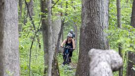 5 Things to Do: Dixon Founder’s Day, Sauk Valley Voices of Recovery sale event this weekend in the Sauk Valley