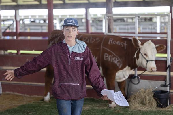 Sauk Valley Views: Photos of the Week for April 24-30, 2026