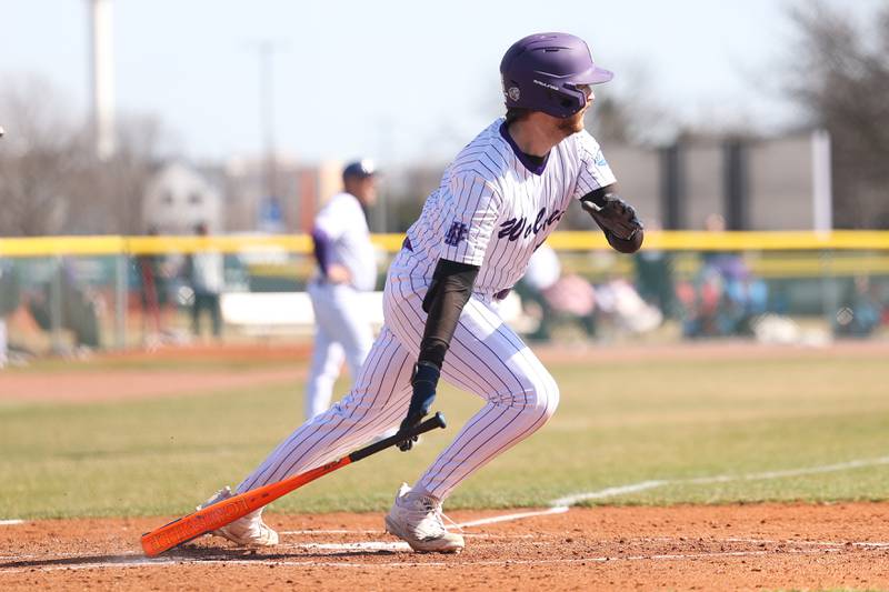 Joliet Junior College’s Dylan Scafuri drives in a run against Illinois Valley in game one of their double-header at the Wolves home opener on Sunday Mar. 3rd, 2024 in Joliet.