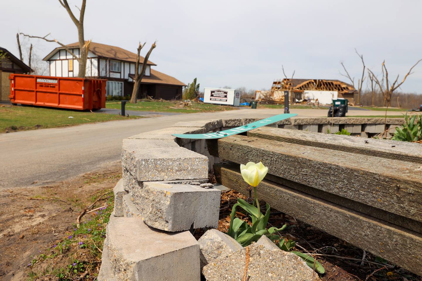 A tulip sprouts from landscaping next to a fallen road sign along Julie Court in Aroma Township as homes are shown on April 8, 2026, nearly one month after the EF-3 tornado.