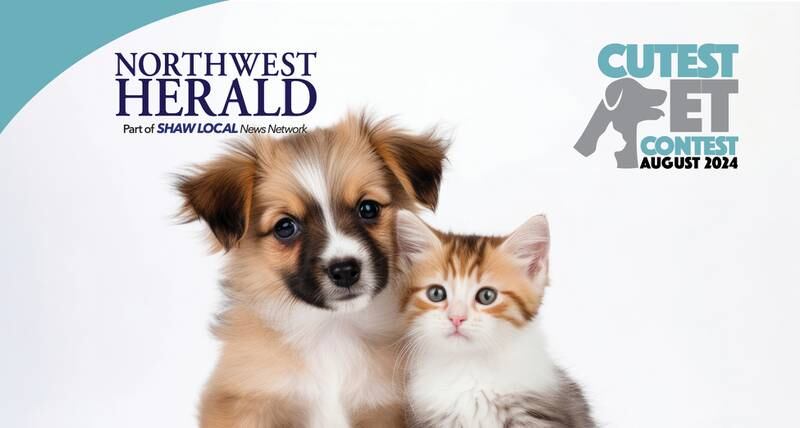NWH Aug pet promo