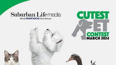 VOTE NOW! Suburban Life's March 2024 Cutest Pet Contest