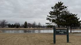 Morris council approves Tria Architecture for Fields of Saratoga, McKinley Park projects