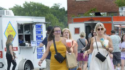 5 Things to Do: Infinity Food & Art Festival in Ottawa, La Salle County 4-H Show