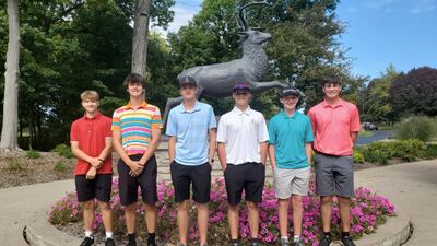 Golf: Area golfers to experience TPC Deere Run at Riverdale Sectional