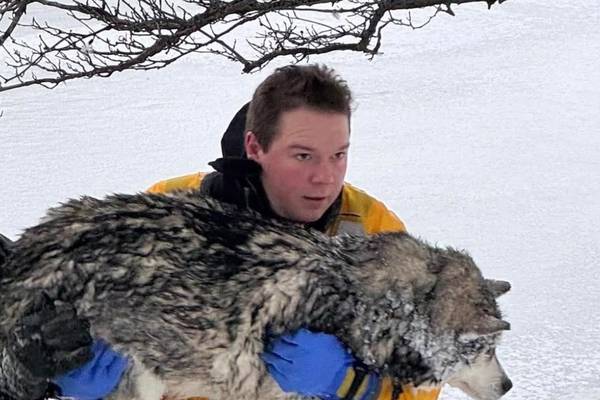 Listen: Kane County’s 5 most-read stories this week: Dec. 14-20