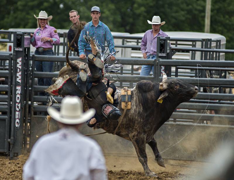 Gregory Berlage of Elizabeth gets up ended while riding Glory Days to start the bull riding fun at the Carroll County Fair.