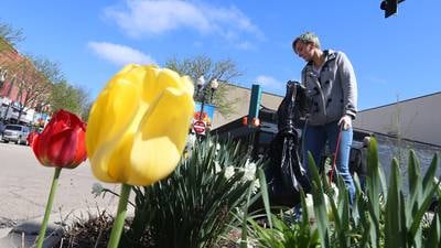 Ottawa Downtown Association wins State revitalization award