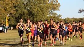 Photos: All-Area Cross Country, girls and boys