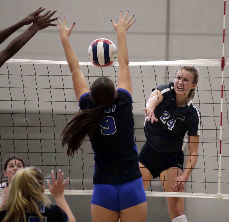 Photos 15th annual Wheaton Classic volleyball tournament Shaw Local