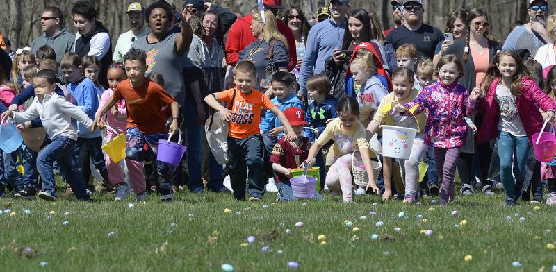 Hundreds of children begin their run Saturday , April 8, 2023, at Illini State Park in Marseilles during the 40th annual Easter egg hunt sponsored by the Marseilles Recreation Board.