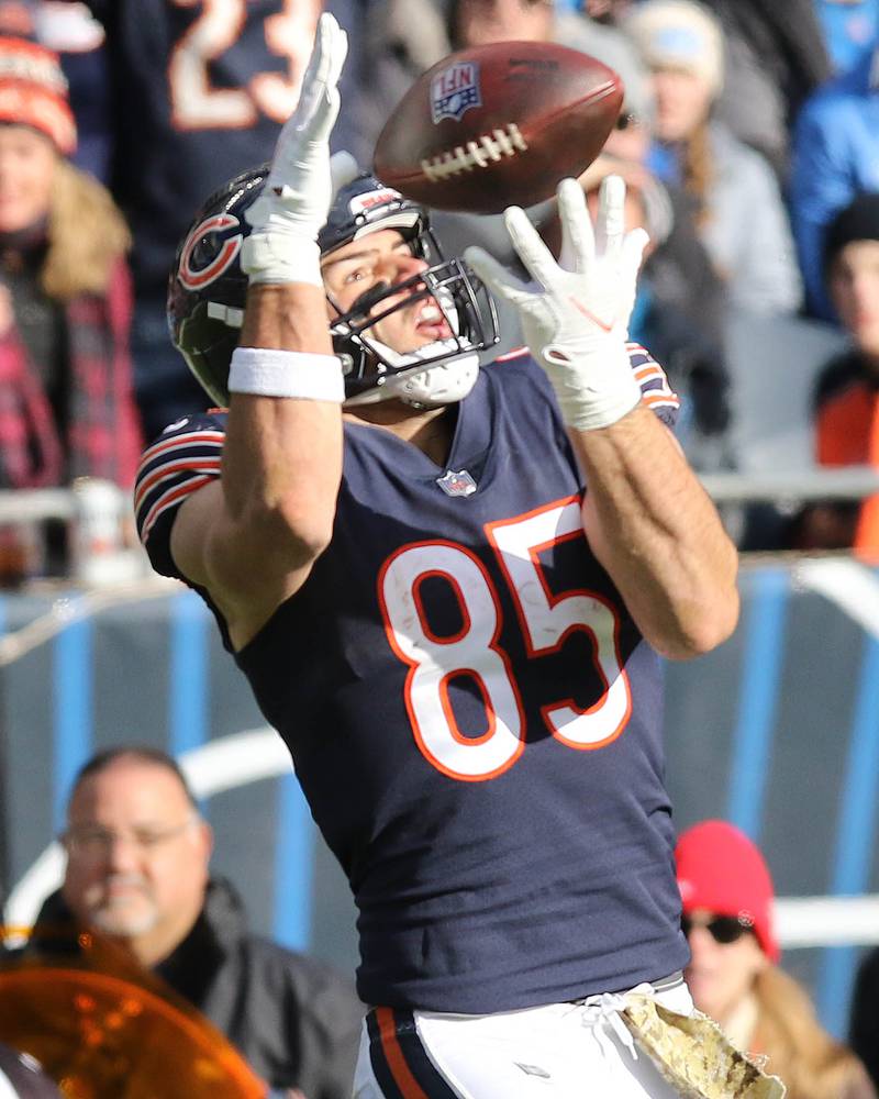 Chicago Bears tight end Cole Kmet gets behind the Lions defense and hauls in catch for a long touchdown during their game Sunday, Nov. 13, 2022, at Soldier Field in Chicago.