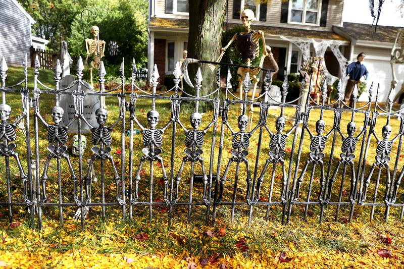 Photos Halloween haunts in the TriCities Shaw Local