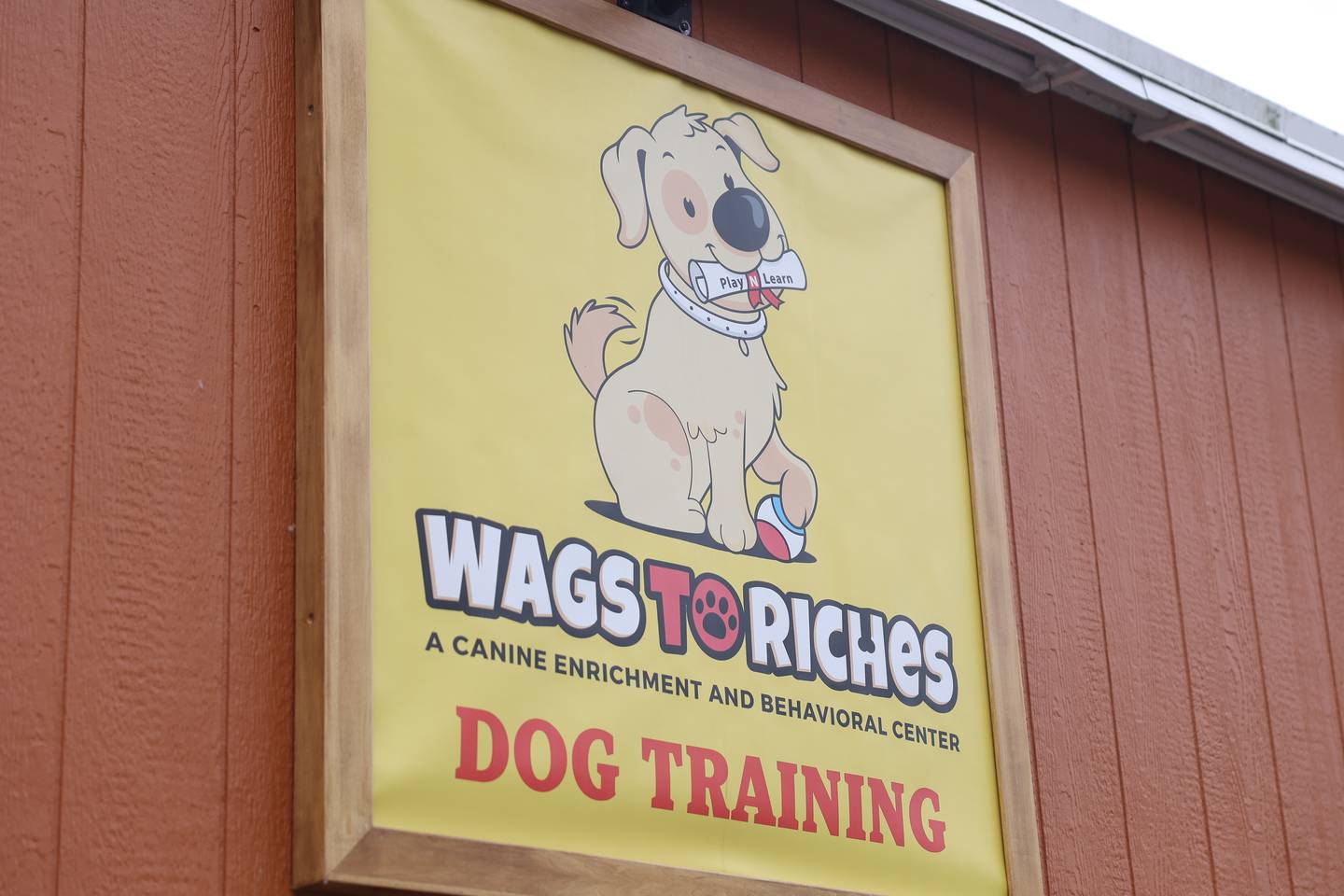 Wags to Riches, a daycare and training facility, sits off N. State Street in Lockport on Tuesday, June 18, 2024.