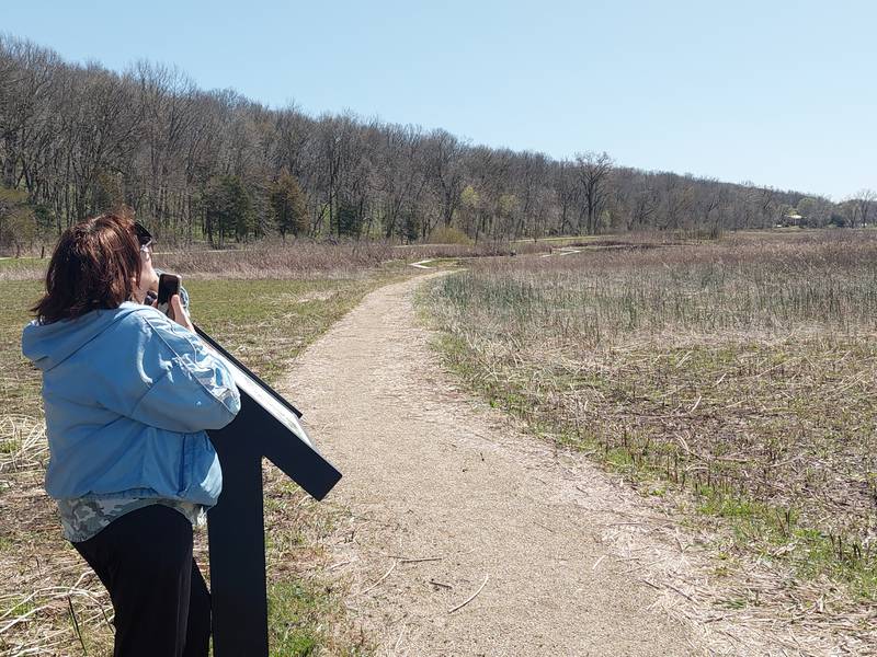 Pam Hafley, of Granville, views the partial solar eclipse from the trail at Dixon Waterfowl Refuge outside of Hennepin.