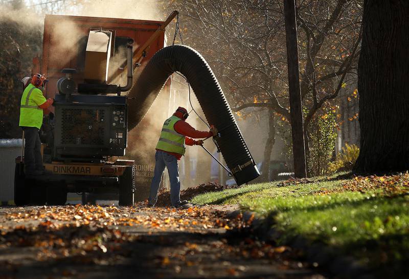 Leaf vacuuming