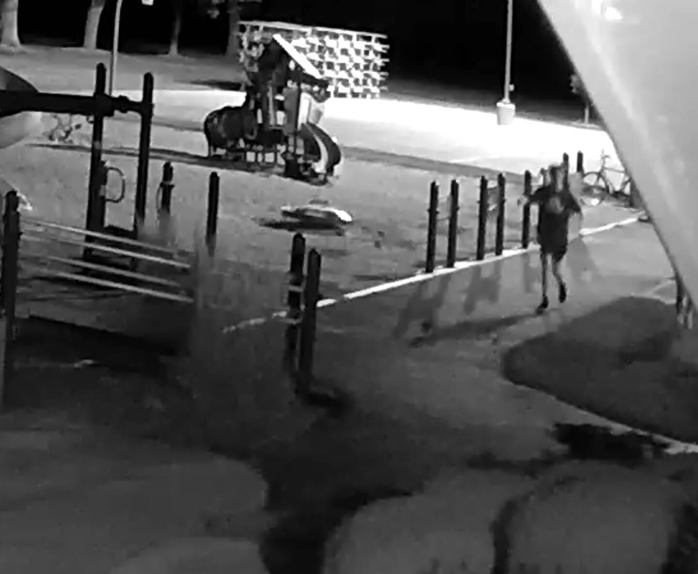 The Elburn Lions Club is looking for four boys who allegedly vandalized Elburn Lions Park on Sept. 3, 2022.