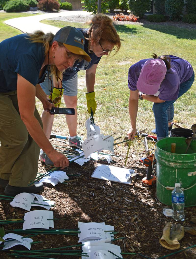 Illinois Valley Community College’s One Book One College program is celebrating Earth Day on Monday, April 22, with a fresh look at the college’s new pollinator garden and a presentation by staff member and Master Gardener Ellen Evancheck.