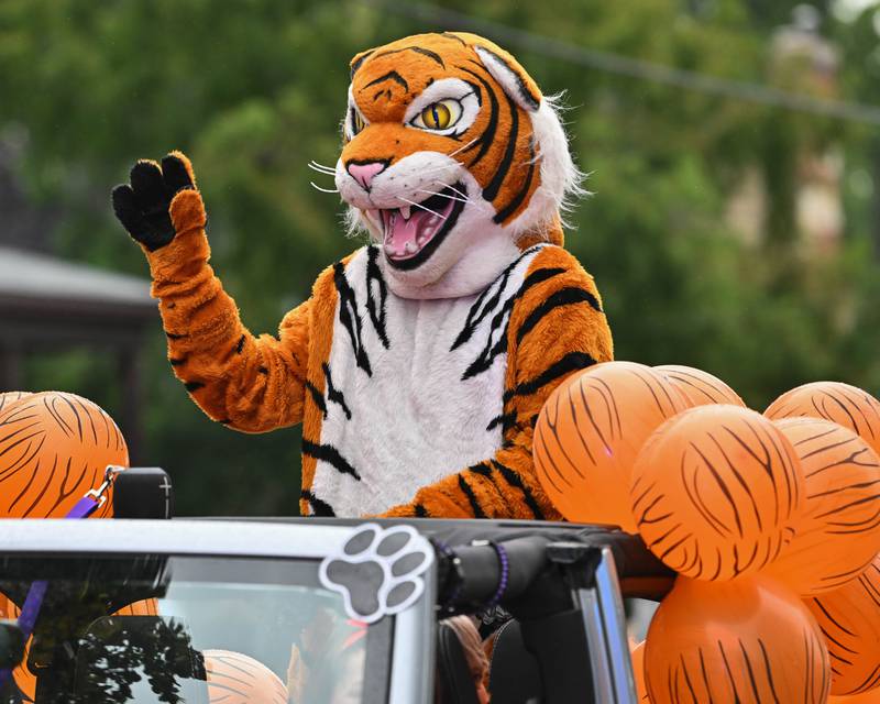 Crystal Lake Central High School mascot "Tiger" seen kicking off the procession of the school's 100 year anniversary homecoming day parade on Saturday, Sep. 16, 2023 in Crystal Lake. The parade began at the high school and made its way through downtown Crystal Lake.
