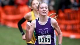 Cross Country: Manteno freshman Goranson leads local state runners