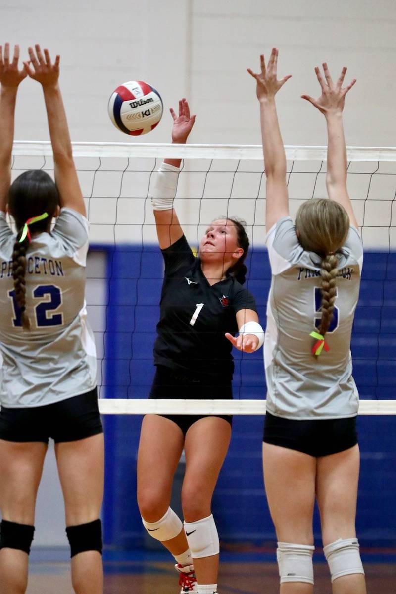 Hall's Haylie Pellegrini takes a hit against Princeton's Chrissy  Sierens (12) and Karsyn Brucker (5) Tuesday night at Prouty Gym.