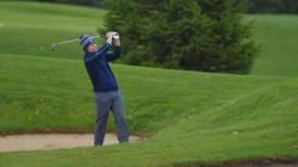 Photos: 2020 FVC Boys Golf Tournament in West Dundee