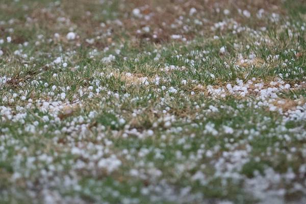 From 61 degrees to snow? Northern Illinois could see winter return by St. Patrick’s Day
