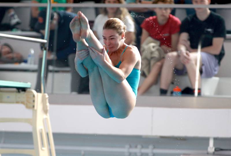 Cary-Grove’s Maggie Bendell dives during the IHSA Girls State Swimming and Diving Championships at the FMC Natatorium in Westmont on Saturday, Nov. 11, 2023.