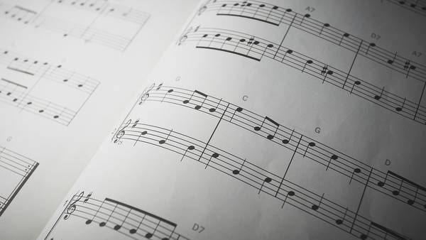 Plainfield District 202 students selected for Illinois Music Education Association honor ensembles