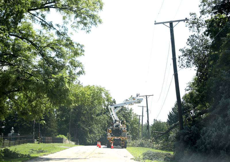 Trees downed several power lines in Sugar Grove following a storm the evening of Monday, July 15, 2024.