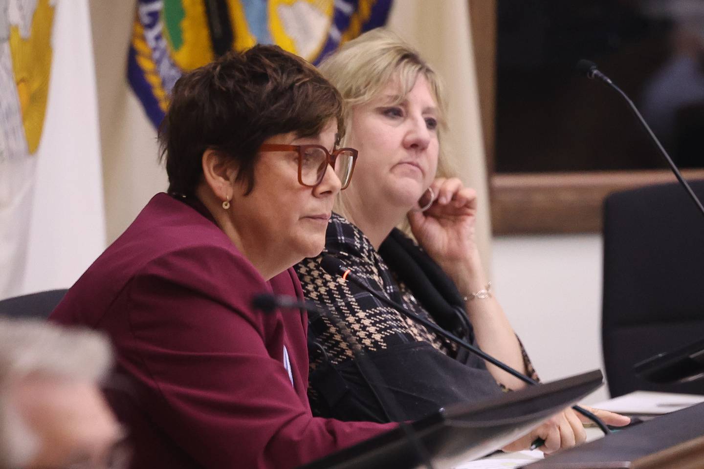 Will County Executive Director Jennifer Bertino-Tarrant, left, and newly elected Will County Clerk Annette Parker listen to board members at the Will County Board Meeting on Monday, Dec. 2, 2024 in Joliet.