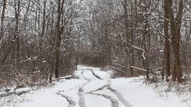 WinterFest set for Jan. 17 at Russell Woods in Genoa