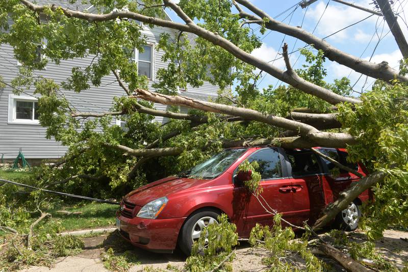 A large tree blown over by Friday's early morning storm at the corner of Van Buren and W. Fourth Street in Dixon, crushed a van owned by Zachary Taylor, 1111 W. Fourth Street.