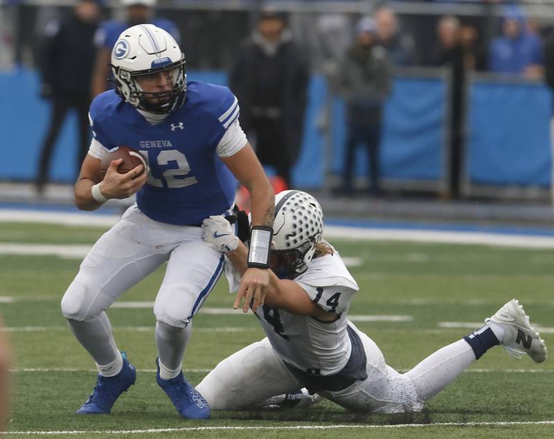 Cary-Grove's Ostin Hansen sacks Geneva’s Anthony Chahino during an IHSA Class 6A semifinal football game on Saturday, Nov. 23, 2024, at Geneva High School.