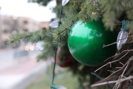 Ogle County releases Christmas tree recycling information 