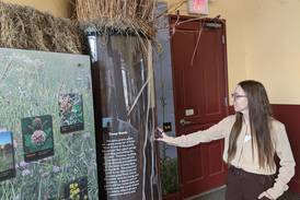 Work nearing completion on Kendall County forest preserve  projects