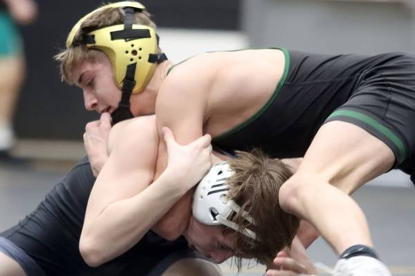 Here are key 2026 IHSA wrestling sectional storylines to watch in McHenry County