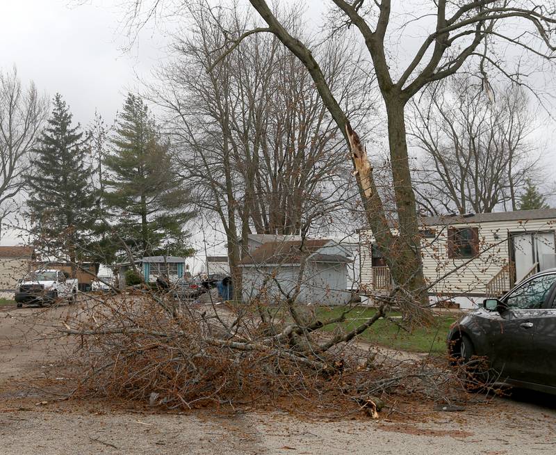Snapped tree branches lay in the roadway on Wednesday, April 5, 2023 in the Mendota Estates Mobile Home Park.