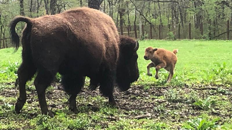 Leaders mark huge expansion of national wildlife refuge straddling Illinois, Wisconsin