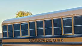 Princeton Elementary seeks 2 board members 