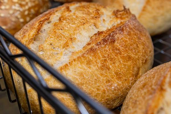 Illinois Extension to offer sourdough starter workshop May 12 in Oglesby