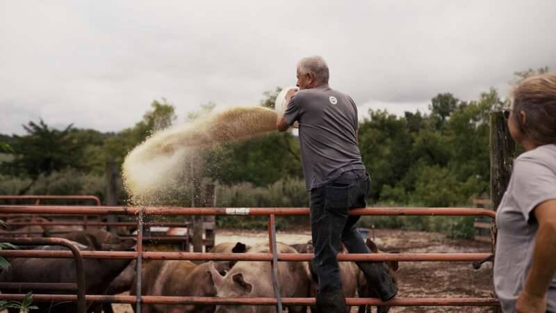 Tom Arnold feeds pigs at his family farm of 135 years in Elizabeth, near Galena.