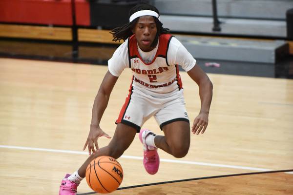 Bradley-Bourbonnais holds late lead before falling to Sandburg