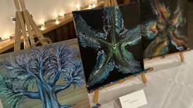 DeKalb County Mental Health Board holds second annual ‘In My Shoes’ showcase